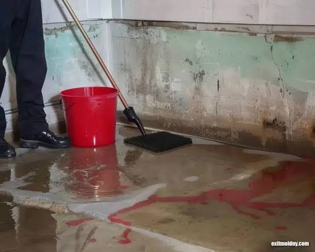 Sewage-Contaminated Floodwater